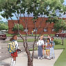 Elementary School F rendering